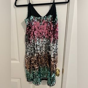 Express sequin dress